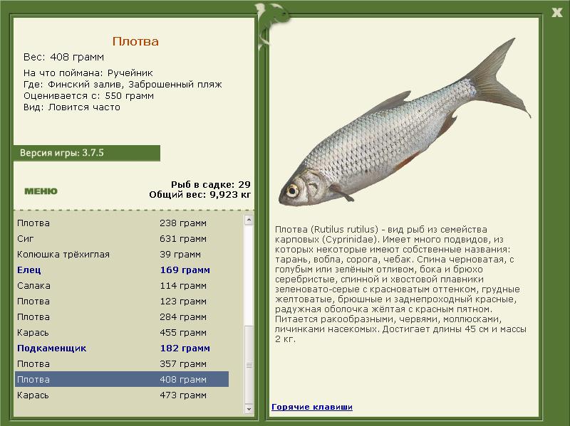 РУССКАЯ РЫБАЛКА Installsoft Edition 