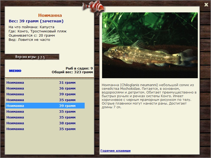 Тростниковый пляж 