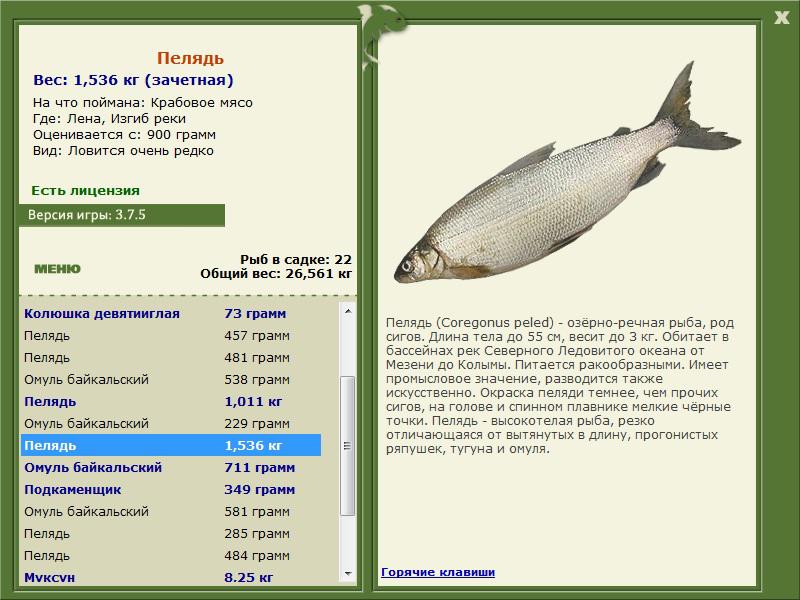 РУССКАЯ РЫБАЛКА Installsoft Edition 
