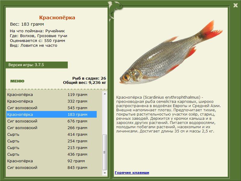 РУССКАЯ РЫБАЛКА Installsoft Edition 