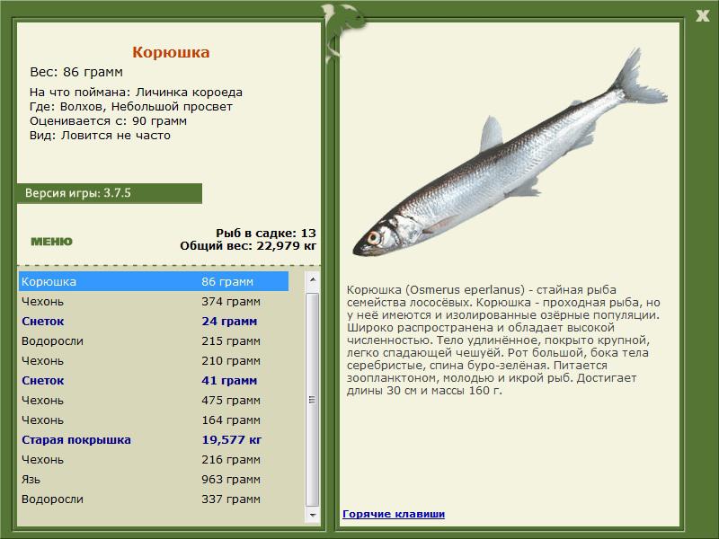 РУССКАЯ РЫБАЛКА Installsoft Edition 