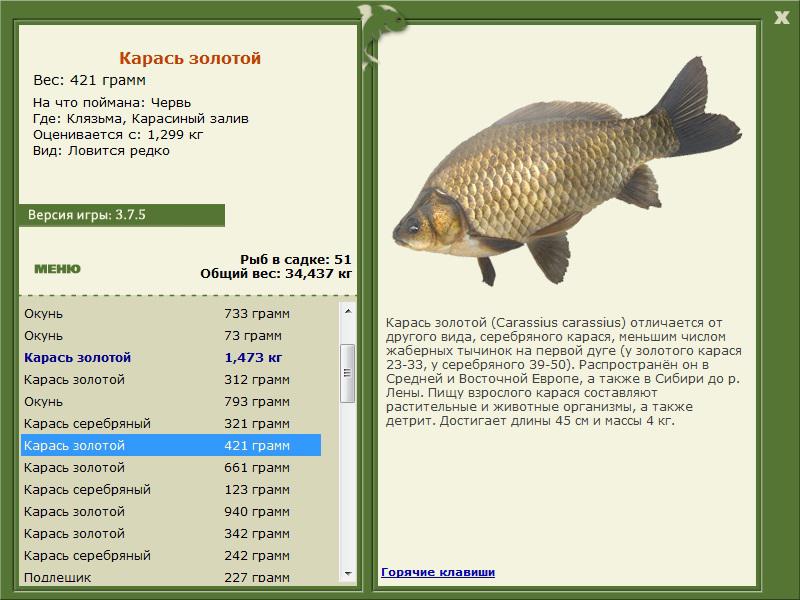 РУССКАЯ РЫБАЛКА Installsoft Edition 