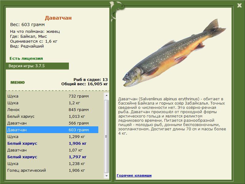РУССКАЯ РЫБАЛКА Installsoft Edition 