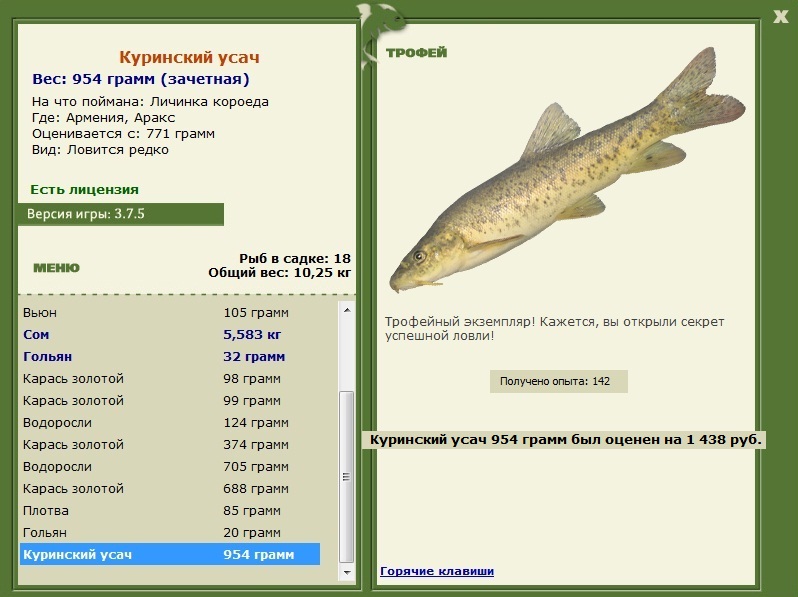 Куринский усач 