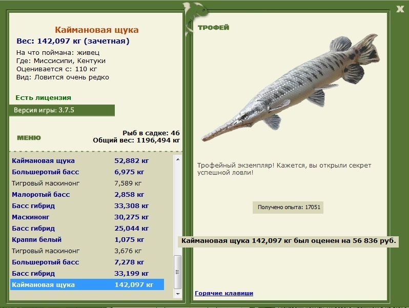 Кентуки 