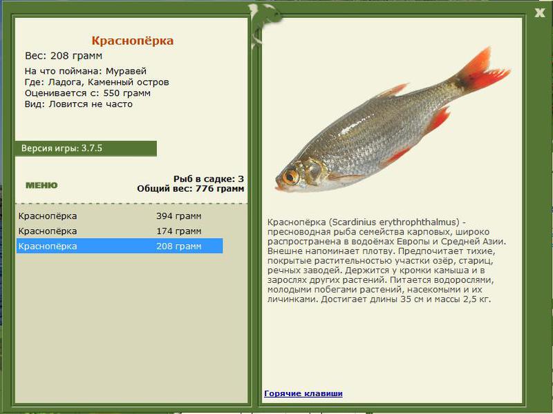 РУССКАЯ РЫБАЛКА Installsoft Edition 