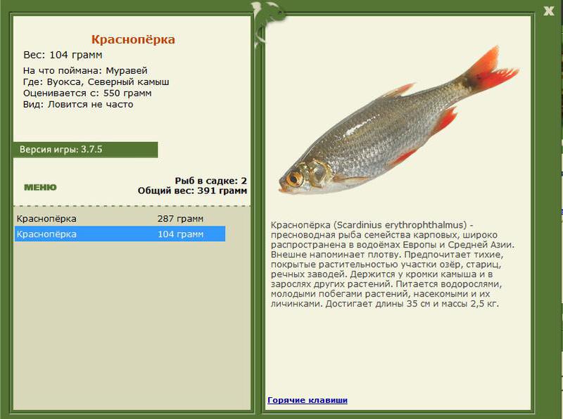 РУССКАЯ РЫБАЛКА Installsoft Edition 