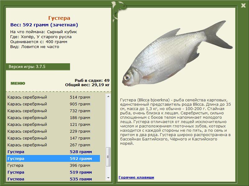 У старого русла 