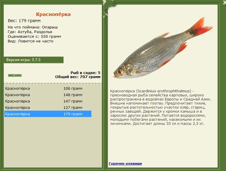 Раздолье 