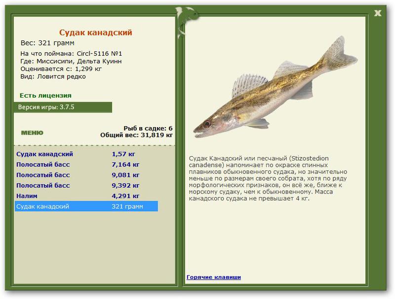Дельта Куинн 