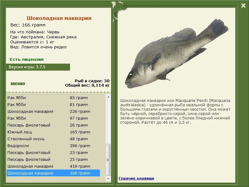 Снежная река 