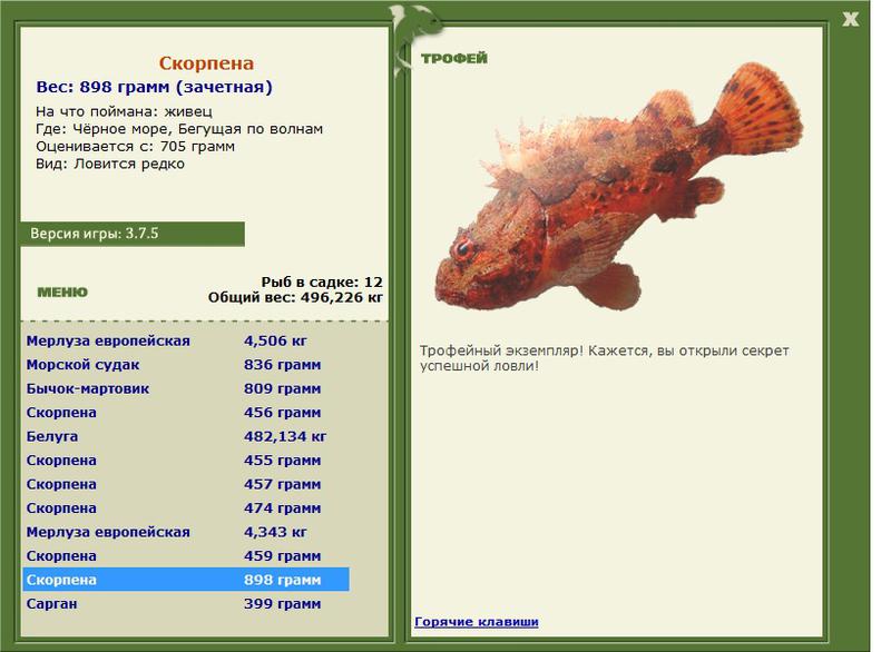 Скорпена 