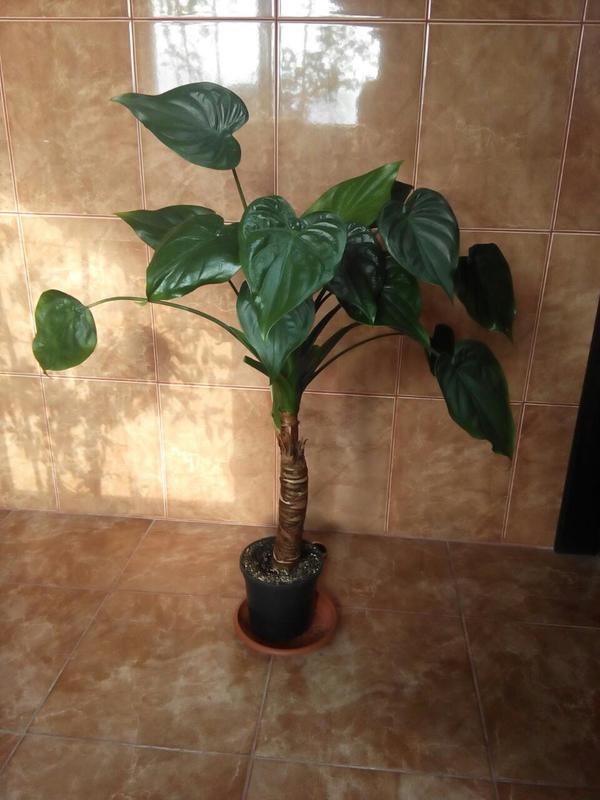 Коробейники 