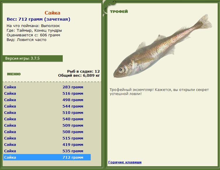 турниры • РУССКАЯ РЫБАЛКА