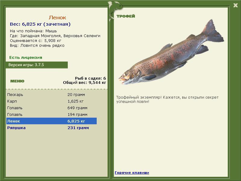 Верховья Селенги 