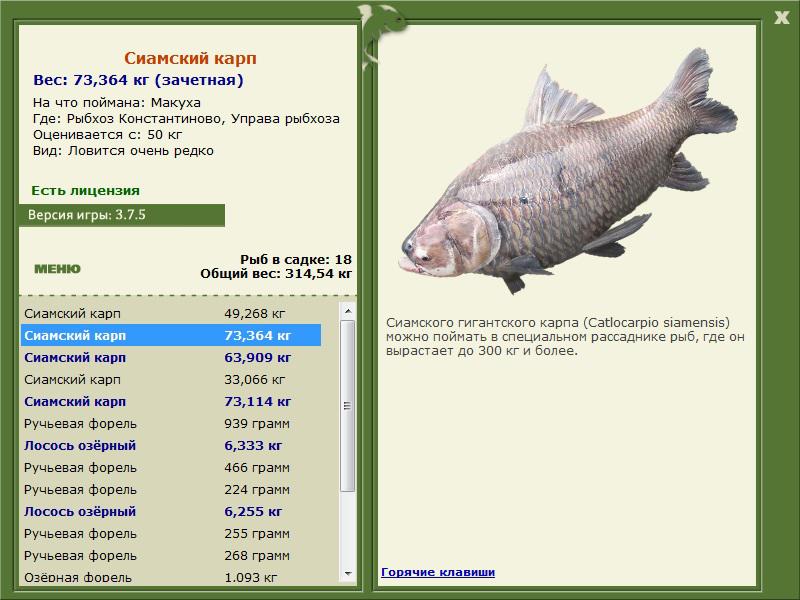 РУССКАЯ РЫБАЛКА Installsoft Edition 