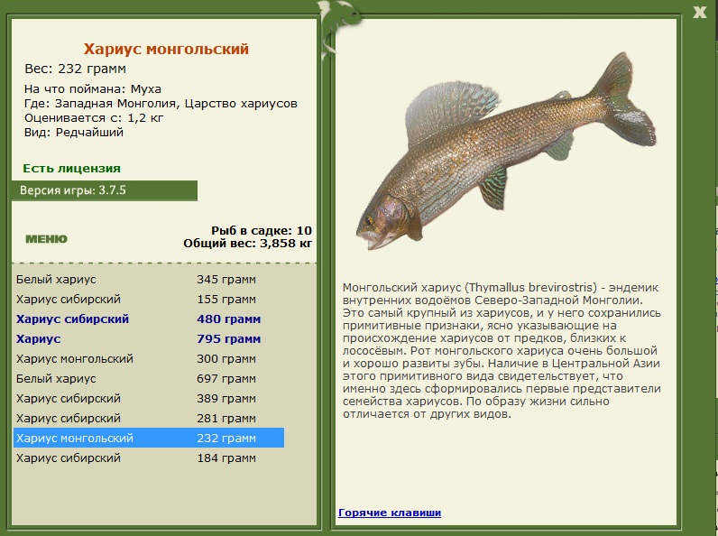 Царство хариусов 