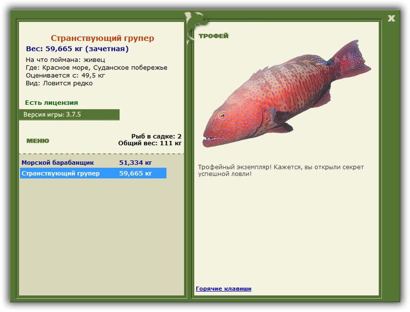 Гладкий ромб 