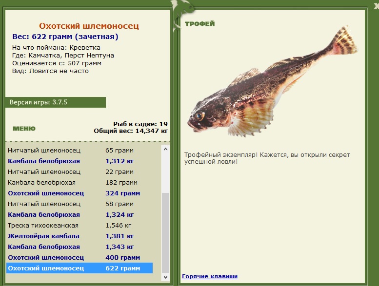 Охотский шлемоносец 