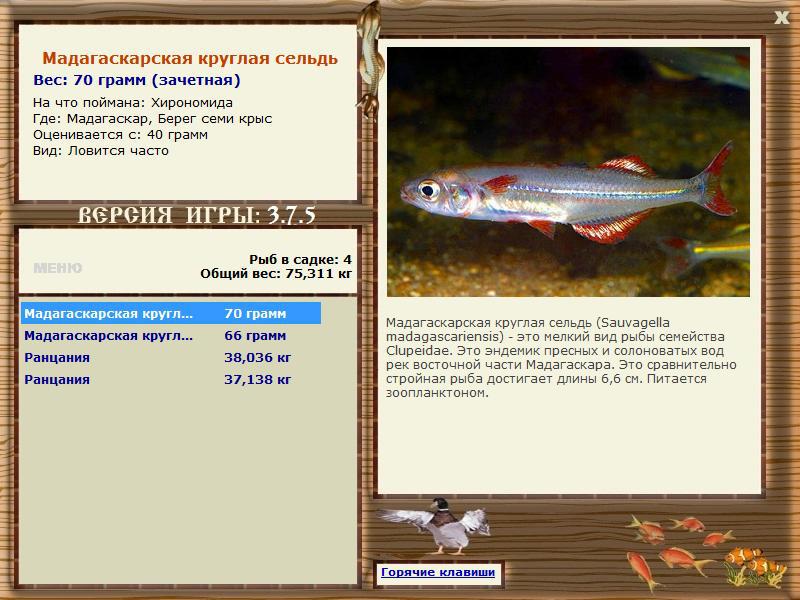 РУССКАЯ РЫБАЛКА Installsoft Edition 