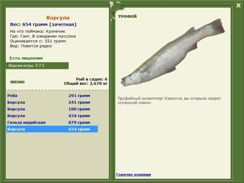 Корсула 