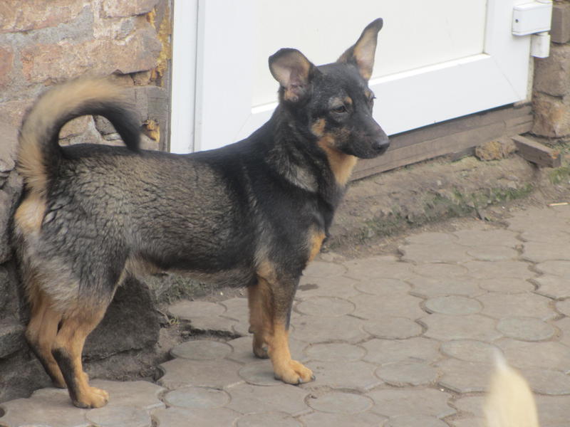  Заявки на фото