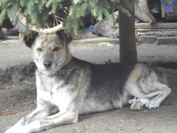  Заявки на фото