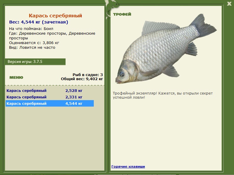 Деревенские просторы 