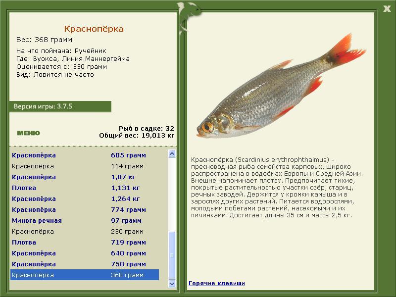 Линия Маннергейма 