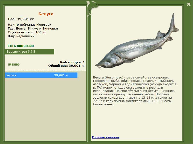 РУССКАЯ РЫБАЛКА Installsoft Edition 