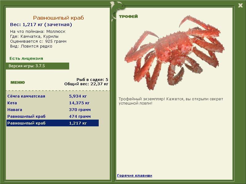 Курилы 