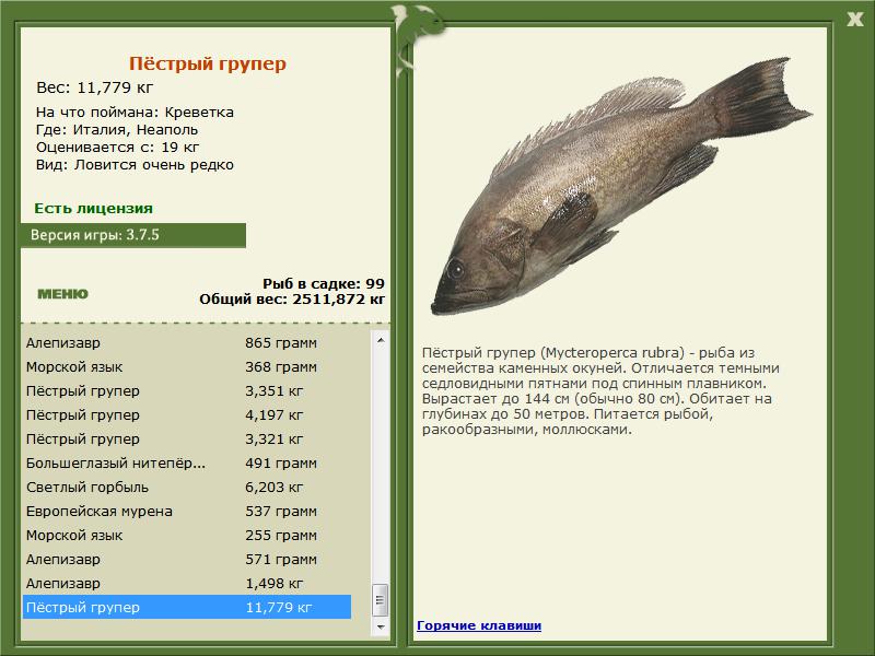 РУССКАЯ РЫБАЛКА Installsoft Edition 