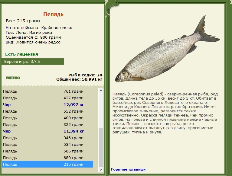Изгиб реки 