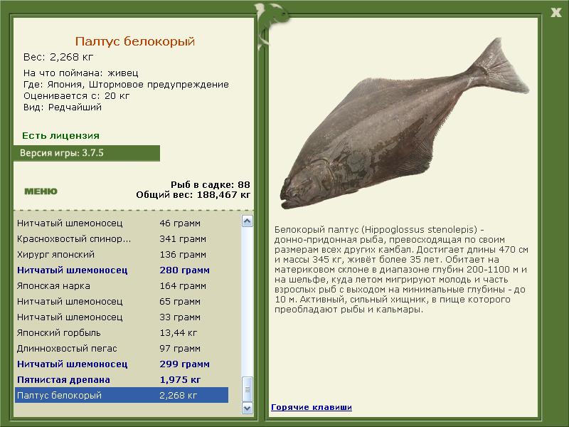  Нечет • Praise-турниры • РУССКАЯ РЫБАЛКА