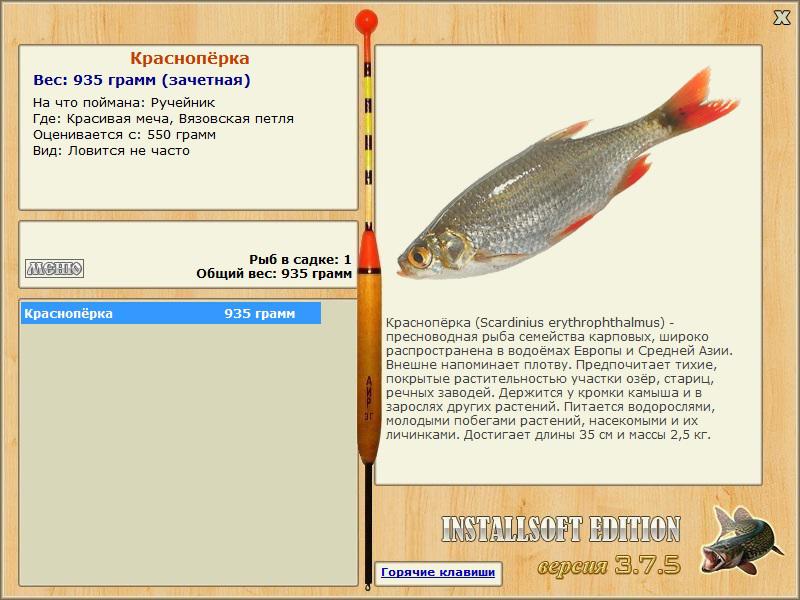 турниры • РУССКАЯ РЫБАЛКА