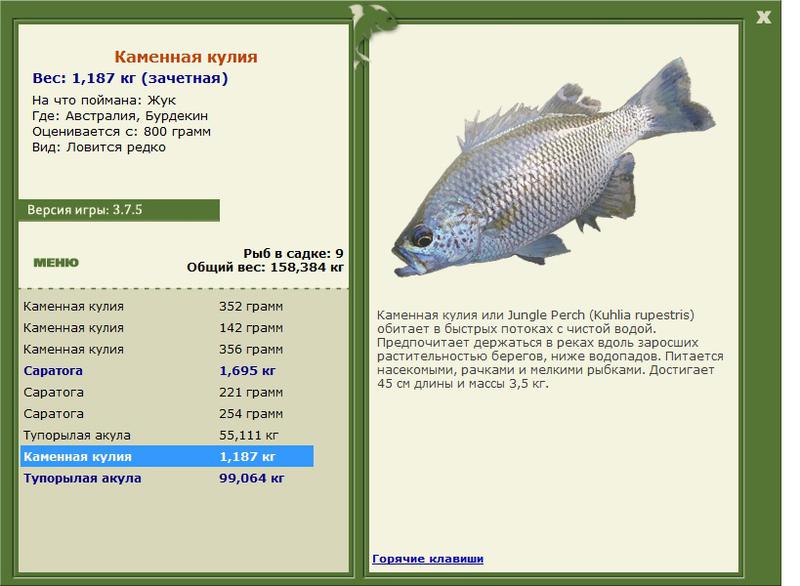 Австралия 