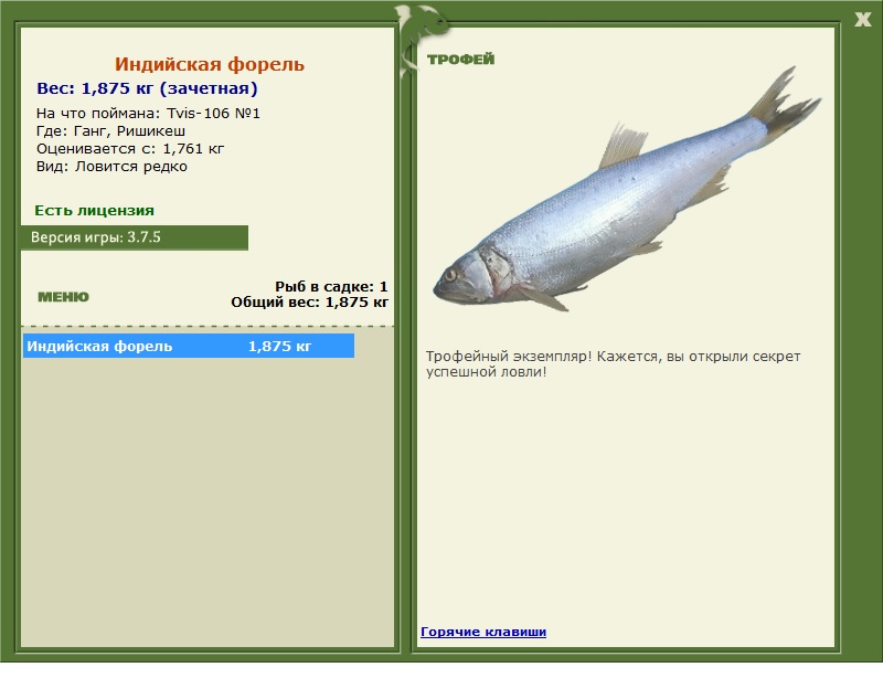 Индийская форель 