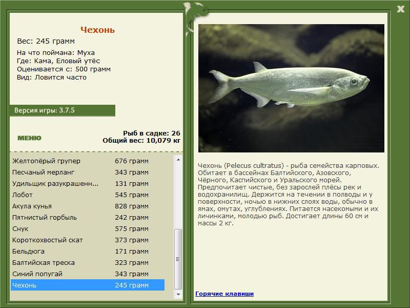 турниры • РУССКАЯ РЫБАЛКА