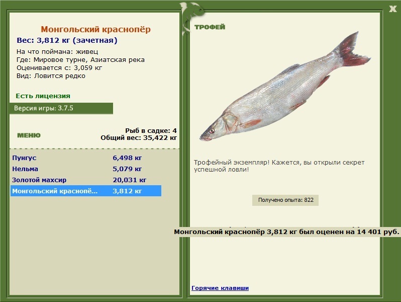 Азиатская река 