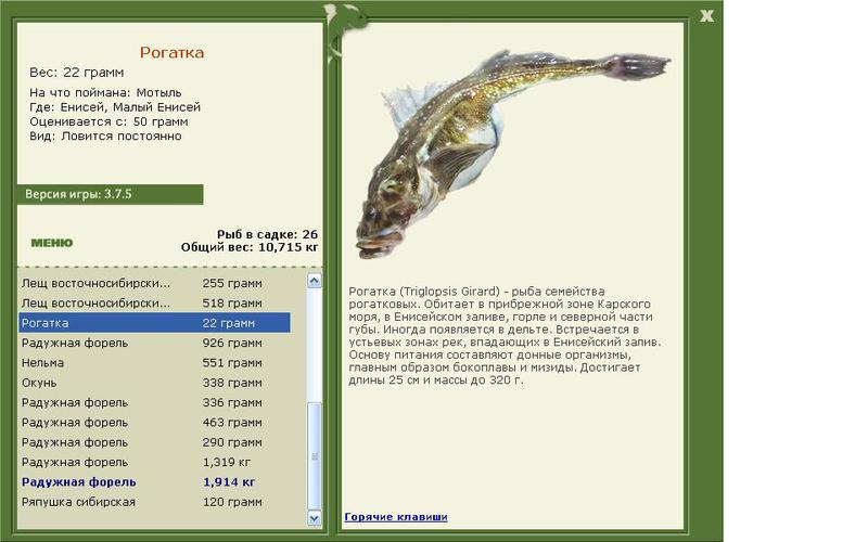 РУССКАЯ РЫБАЛКА Installsoft Edition 