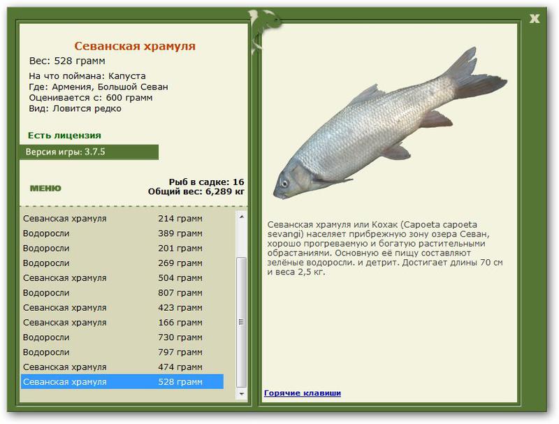 Большой Севан 