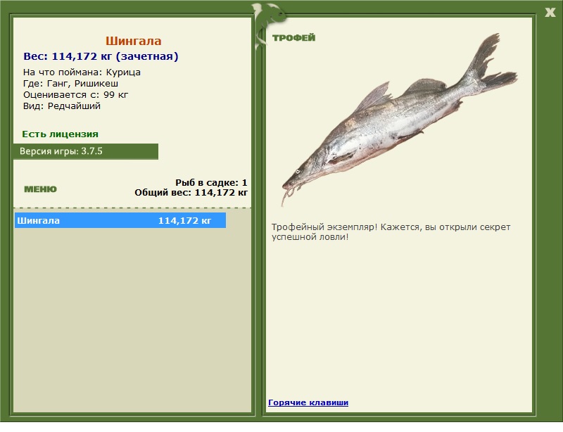 Шингала 