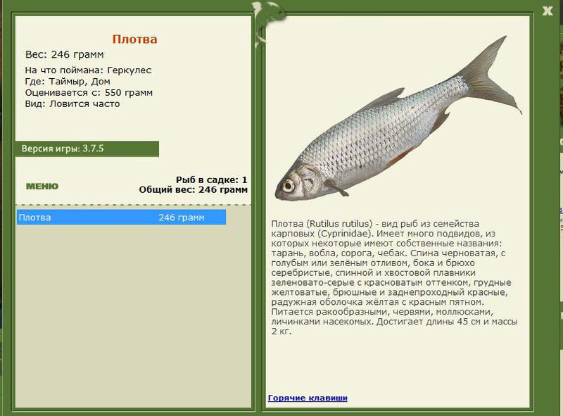 РУССКАЯ РЫБАЛКА Installsoft Edition 