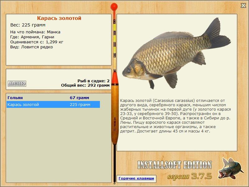 турниры • РУССКАЯ РЫБАЛКА