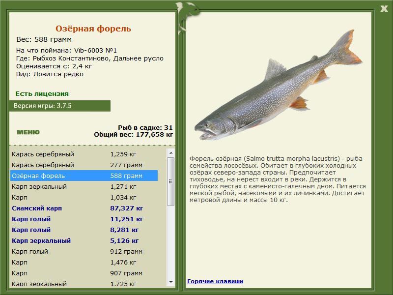 Дальнее русло 