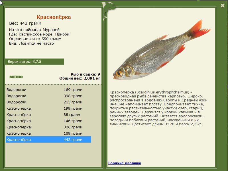 турниры • РУССКАЯ РЫБАЛКА