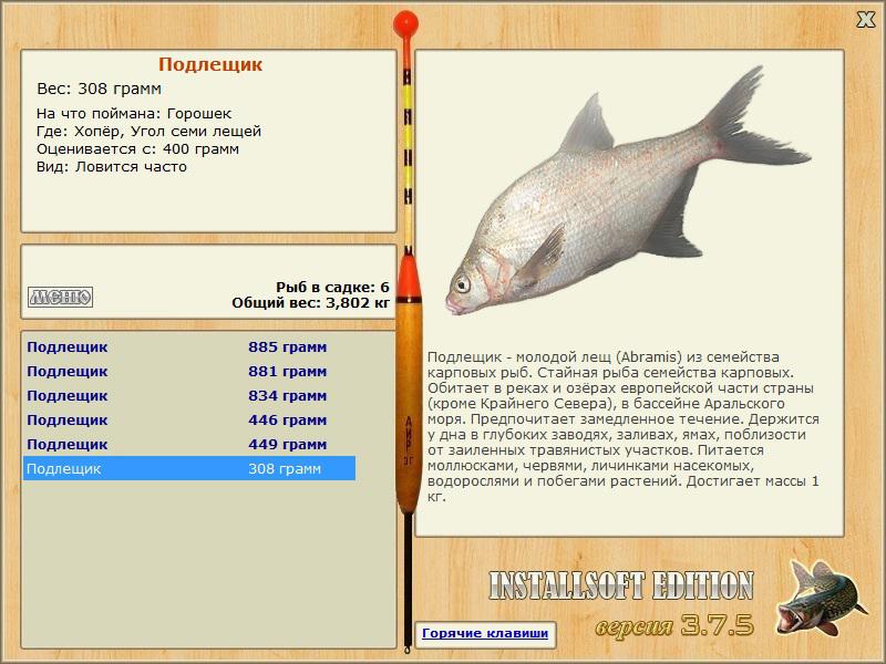 турниры • РУССКАЯ РЫБАЛКА