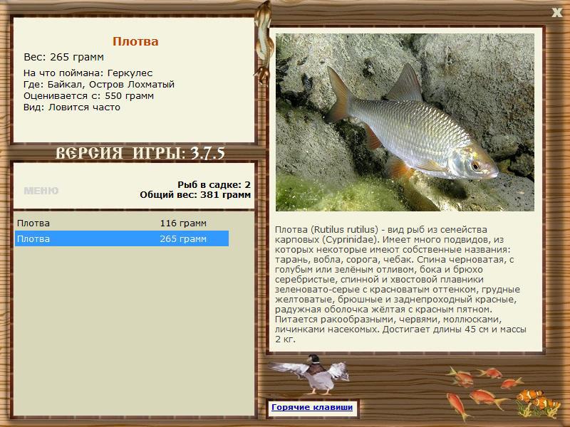 РУССКАЯ РЫБАЛКА Installsoft Edition 