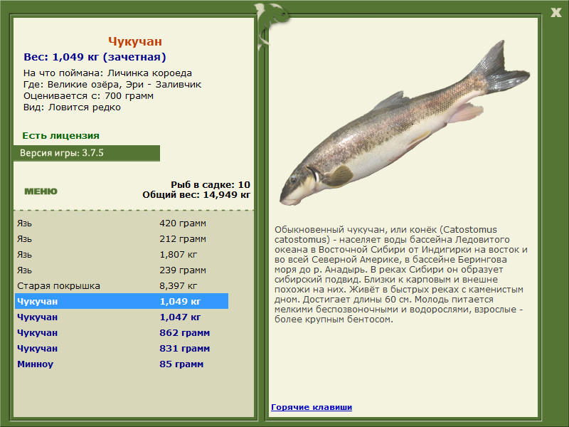 РУССКАЯ РЫБАЛКА Installsoft Edition 