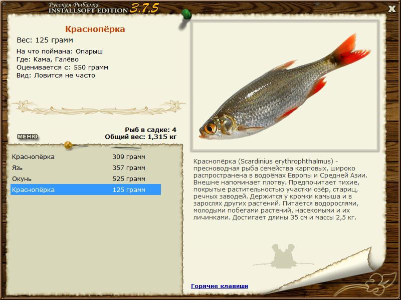 РУССКАЯ РЫБАЛКА Installsoft Edition 